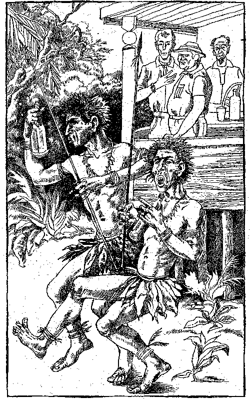 В стране райской птицы. Амок. - i_004.png