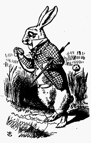 Приключения Алисы в стране чудес (Пер. Н.М. Демуровой) - bdtofb2im_3.png