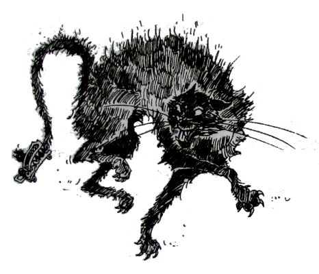 Амулет Судьбы - i_035.png