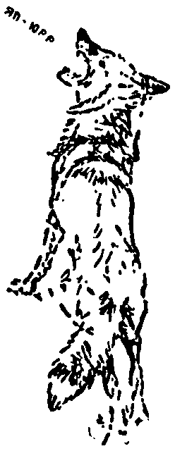 Рольф в лесах - pic017.png