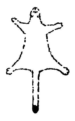 Рольф в лесах - pic086.png