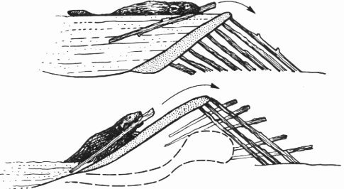 Лососи, бобры, каланы - i_130.png