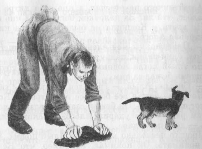 Кепка с карасями - _5.jpg
