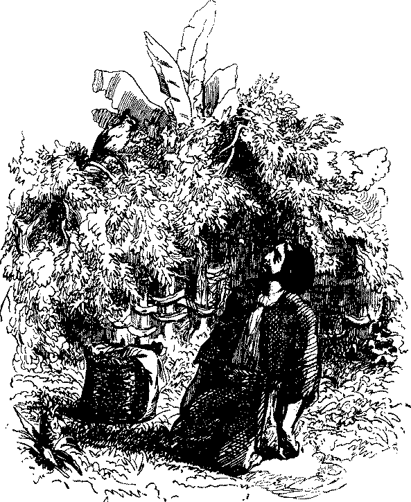 Приключения Робинзона Крузо - i_035.png