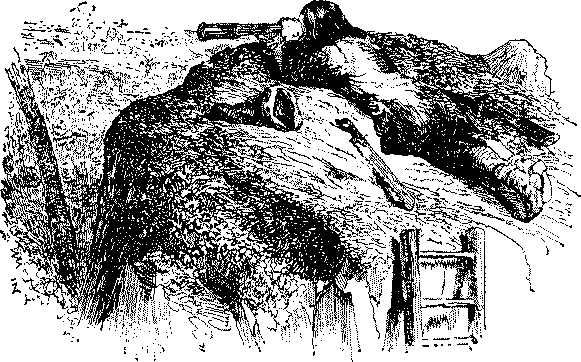Приключения Робинзона Крузо - i_046.png