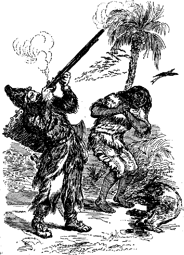 Приключения Робинзона Крузо - i_054.png