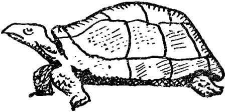 Некоторые удивительные события из жизни Бориса Пузырькова - i_023.png