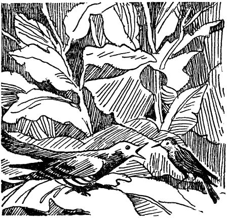 Некоторые удивительные события из жизни Бориса Пузырькова - i_032.png