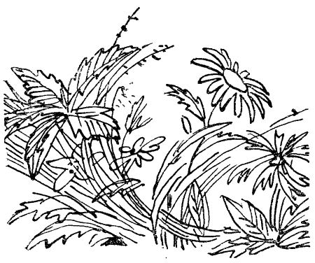 Некоторые удивительные события из жизни Бориса Пузырькова - i_033.png