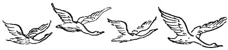 Некоторые удивительные события из жизни Бориса Пузырькова - i_036.png