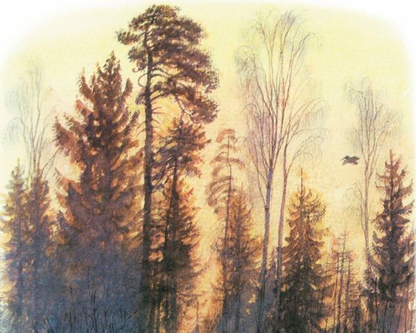 Арктур – гончий пес (сборник) - _3.jpg