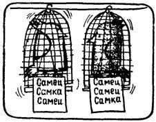 А ну-ка, догадайся! - _248.jpg