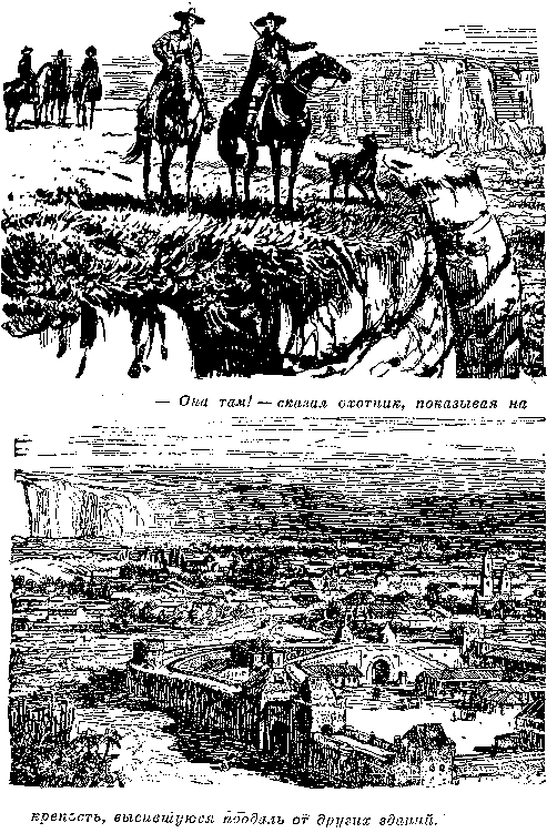 Собрание сочинений, том 1. Белый вождь. Квартеронка. - i_018.png