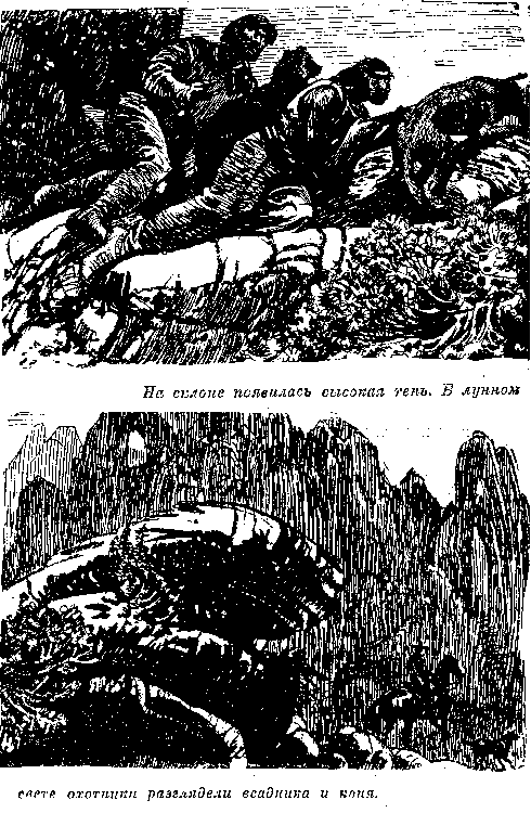 Собрание сочинений, том 1. Белый вождь. Квартеронка. - i_023.png