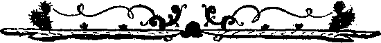 Собрание сочинений, том 1. Белый вождь. Квартеронка. - i_028.png