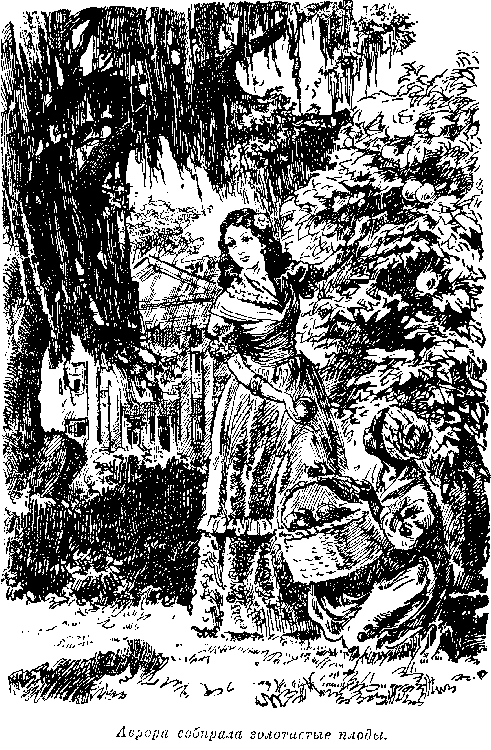 Собрание сочинений, том 1. Белый вождь. Квартеронка. - i_036.png