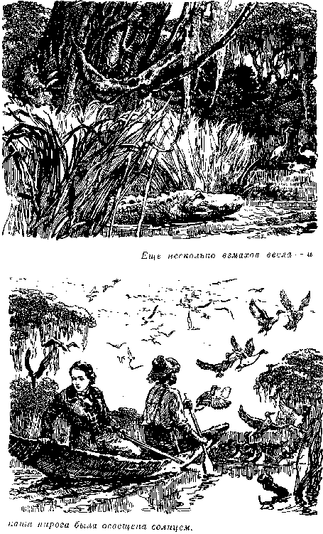Собрание сочинений, том 1. Белый вождь. Квартеронка. - i_041.png