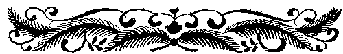 Собрание сочинений, том 1. Белый вождь. Квартеронка. - i_054.png