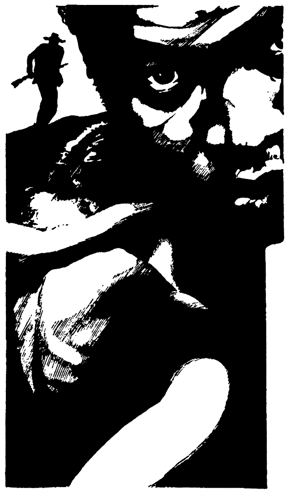 Последний ковбой Америки - pic02.png