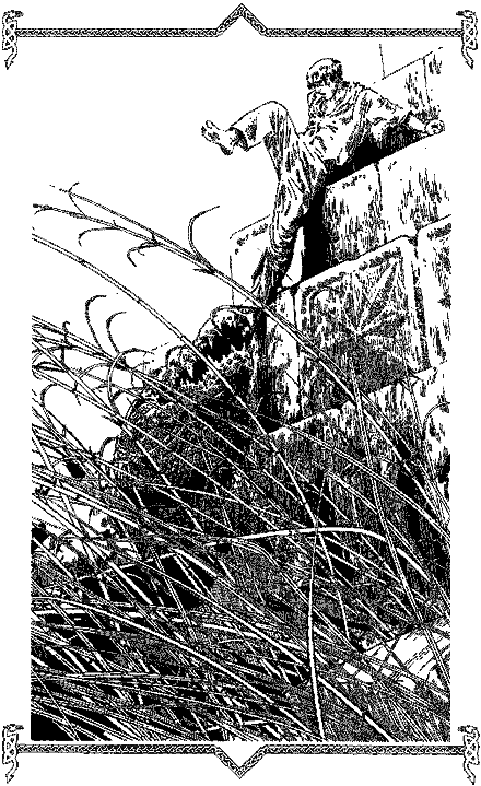 Обратная сторона пути - i_001.png