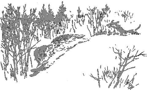Рассказы о животных - i_002.png