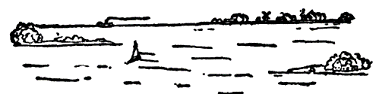 Рассказы северных ветров, или По пабам и паркам - pic_65.png
