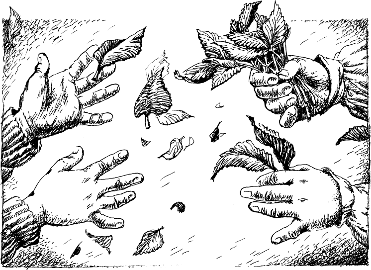 Рыцарь на золотом коне - i_003.png