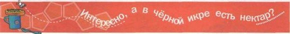 Что делать если...2 - i_012.jpg