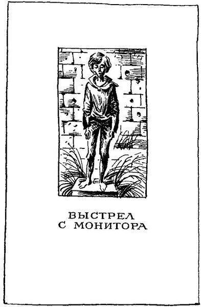 Выстрел с монитора (сборник) - img_1.jpg