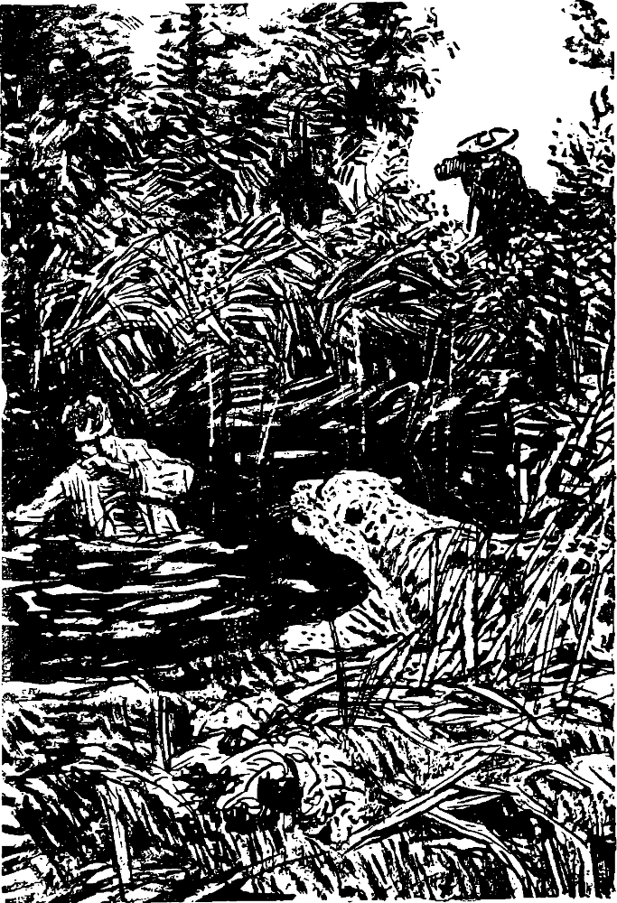 Всадник без головы(изд.1955) - image016.png