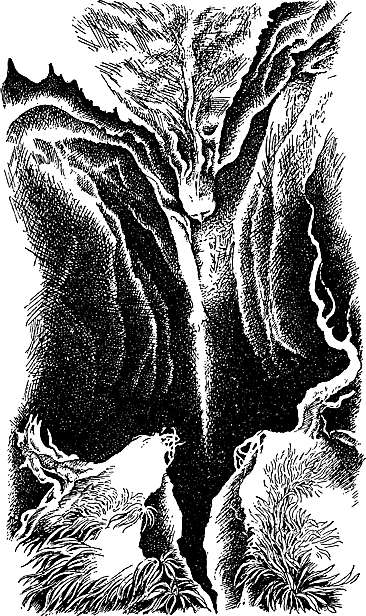 Ночная погоня(сборник) - i_020.png
