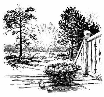 Убить пересмешника - i_007.png