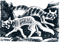 Судьба Небесного племени. Решение - i_029.png
