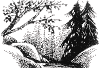 Судьба Небесного племени. Решение - i_036.png