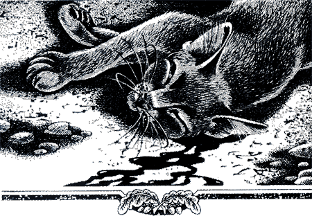 Судьба Небесного племени. Решение - i_037.png