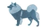 Мир животных. Домашние животные - i_027.jpg