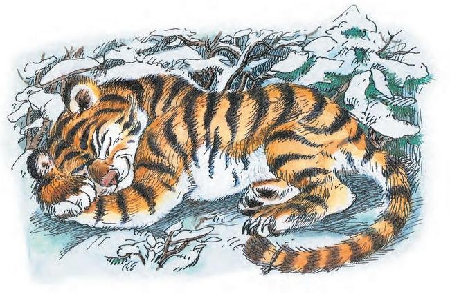 Сказка про Зелёную Лошадь (сборник) - i_010.jpg