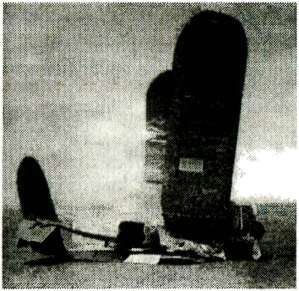 Я дрался с самураями. От Халхин-Гола до Порт-Артура - i_010.jpg