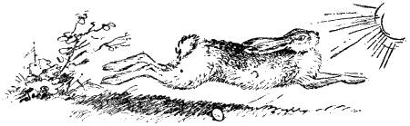 Донские сказки - i_006.png