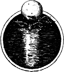 Они появляются в полночь - i_002.png