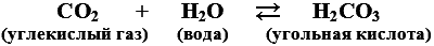 Кровь: река жизни. От древних легенд до научных открытий - i_003.png