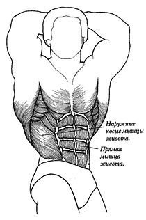 Новая энциклопедия бодибилдинга. Кн.3. Упражнения - _47.jpg