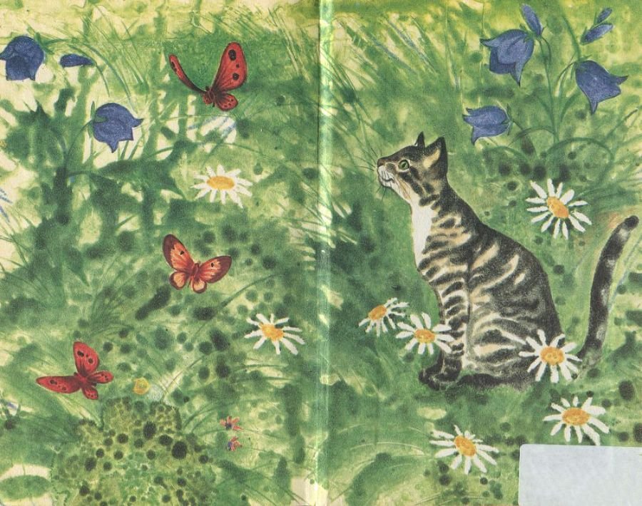 Кот по имени Сабрина - i_014.jpg