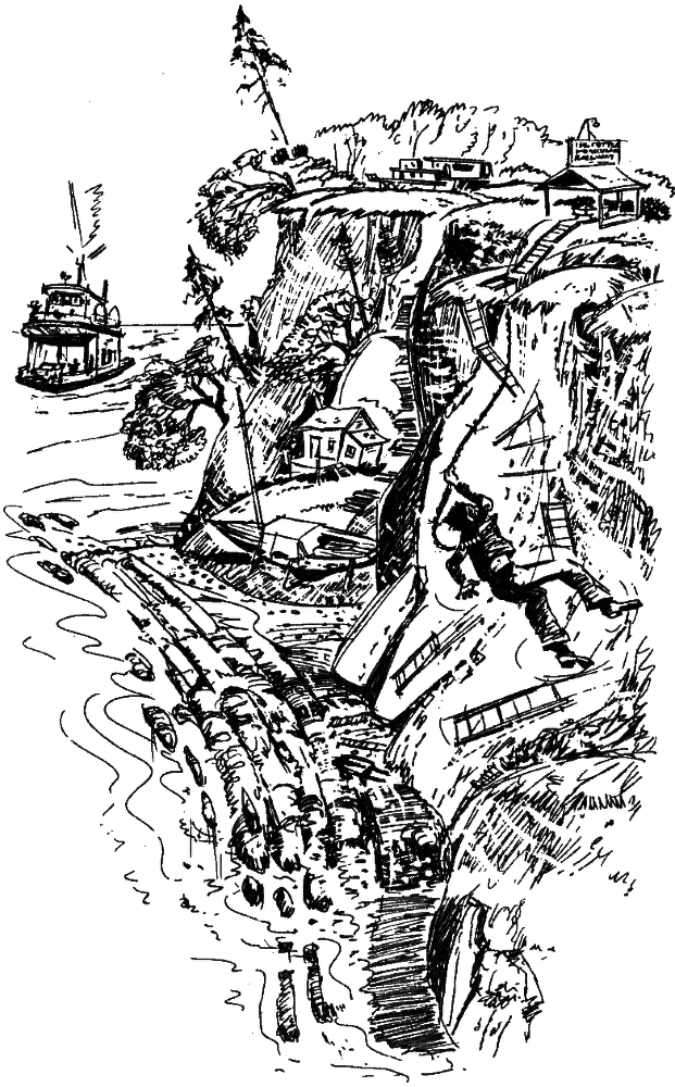 Морскому льву здесь не место - i_006.png