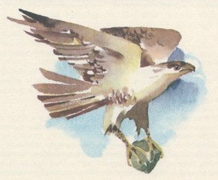 Сказки народов Сибири - pic_43.jpg