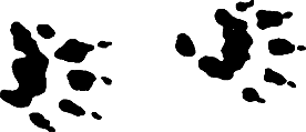 Миры Роджера Желязны. Том 28 - i_007.png
