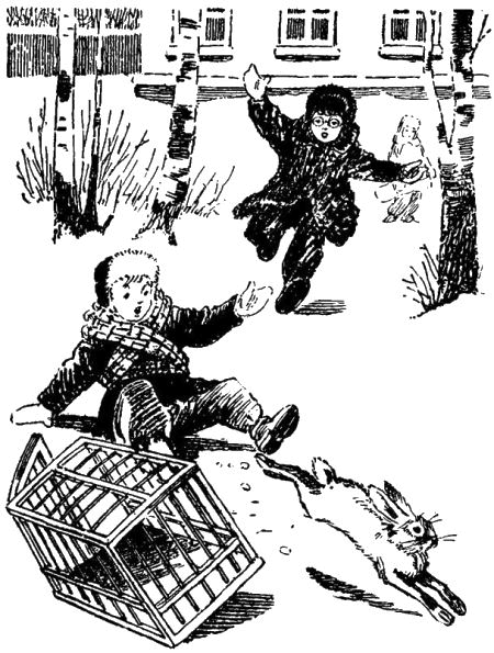 Пушистый гость (издание 1959 года) - i_030.png