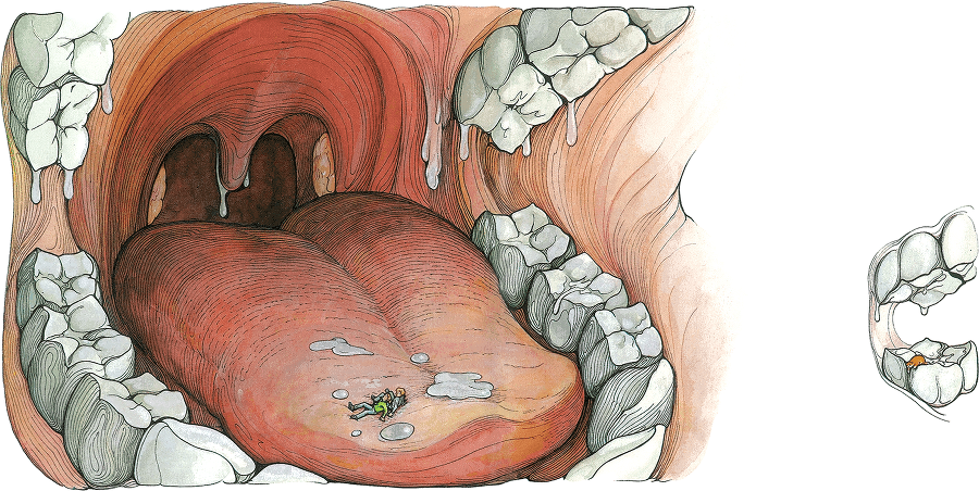Тайны анатомии - i_010.png