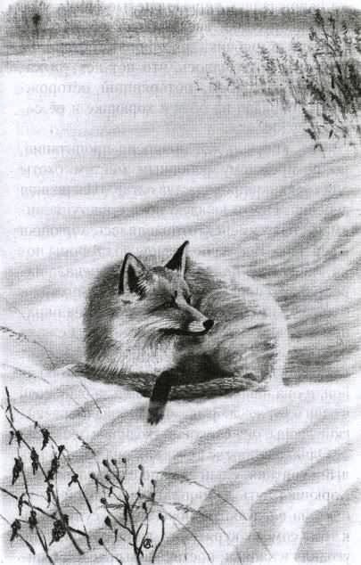 Хорюшка - _008.jpg