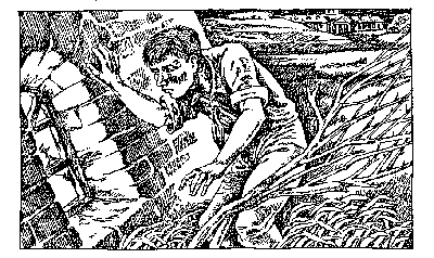Тайна одной башни (сборник) - i_009.png